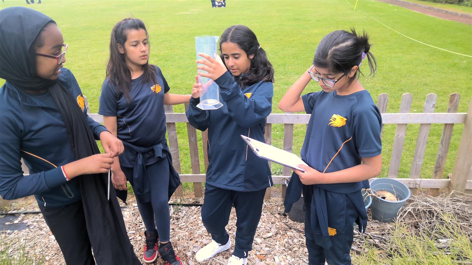 National Fieldwork Fortnight in the Primary Phase