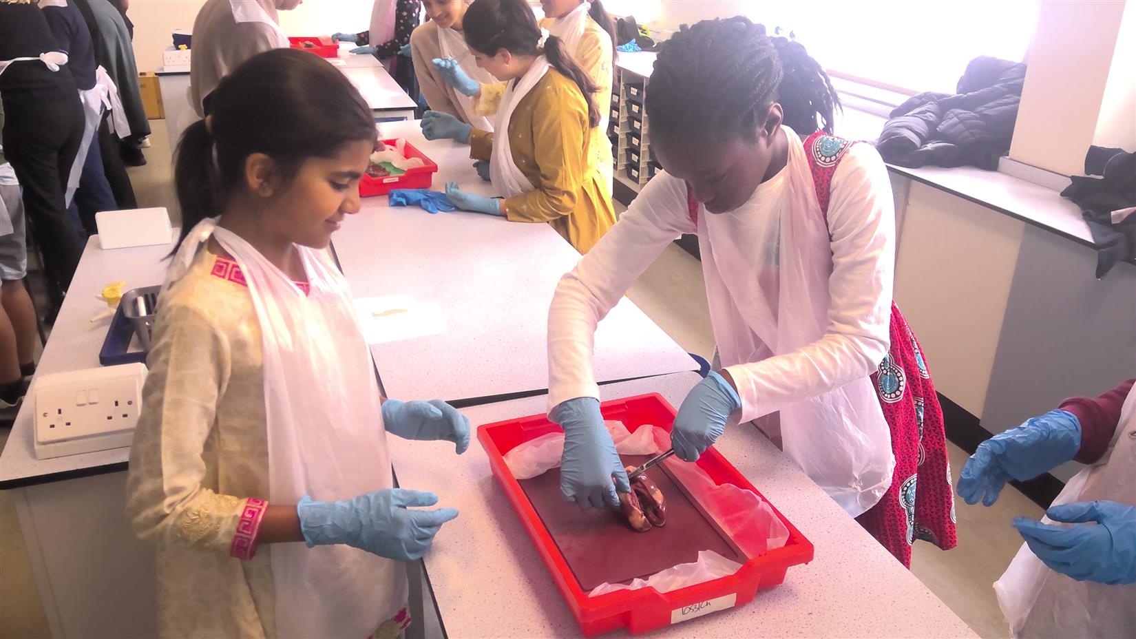 Y6 Science Transition Event