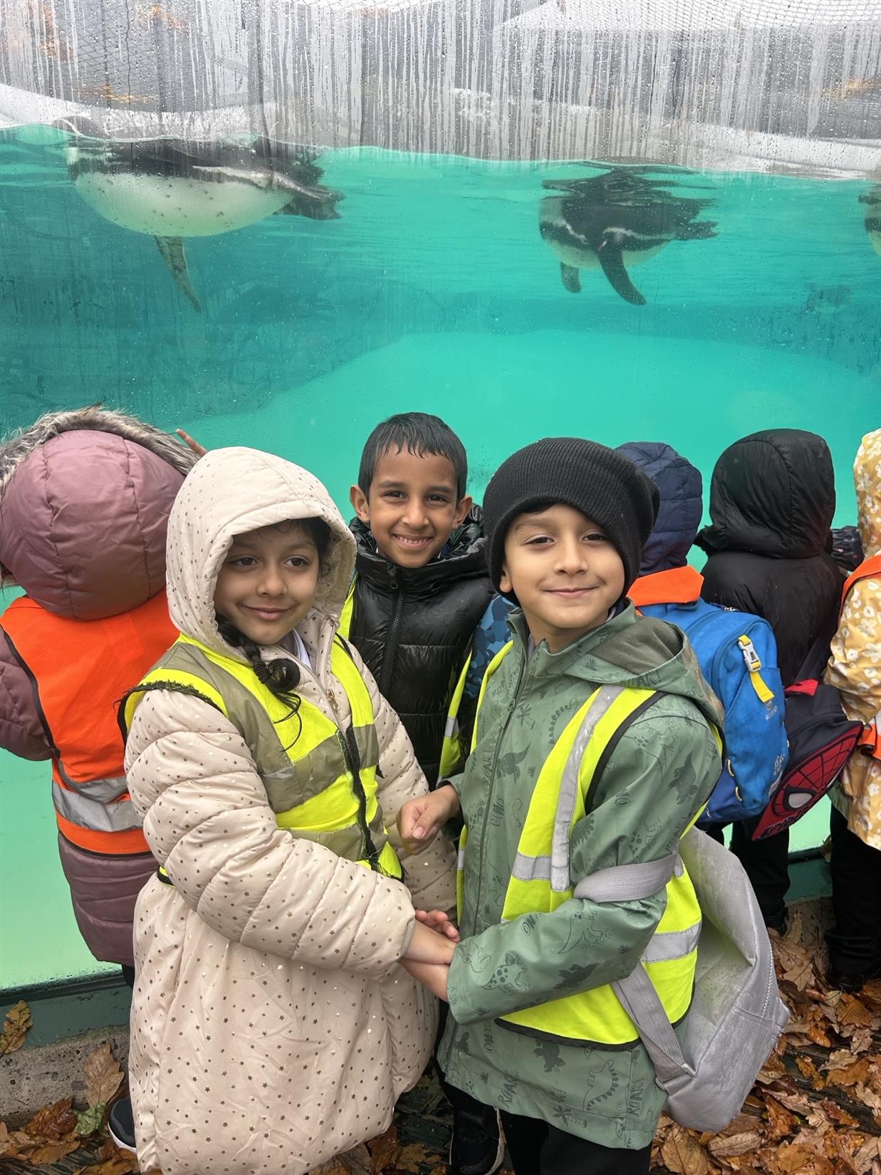 Year 1 Chester Zoo Trip