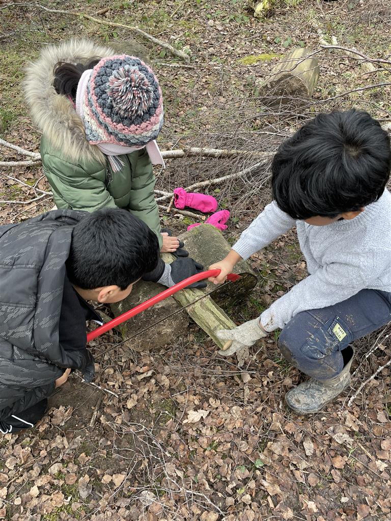 Year 4 Forest School